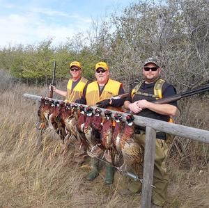 Meet your Posher, Tim